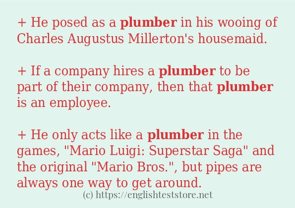 What Is A Sentence For Plumber?
