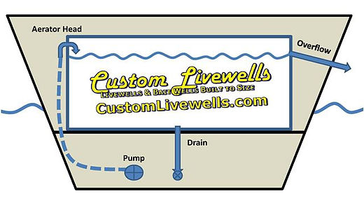 Bass Boat Livewell Plumbing Diagram