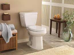 Factors to Consider When Choosing a Toilet