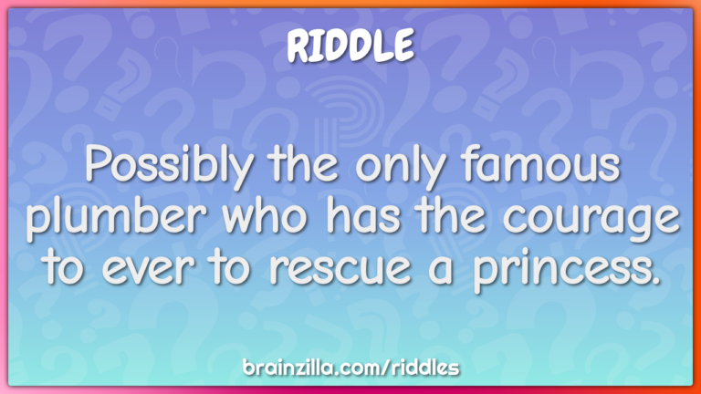 Who Is The Famous Plumber Rescue Princess?