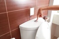 What Is Bathroom Flush Called?