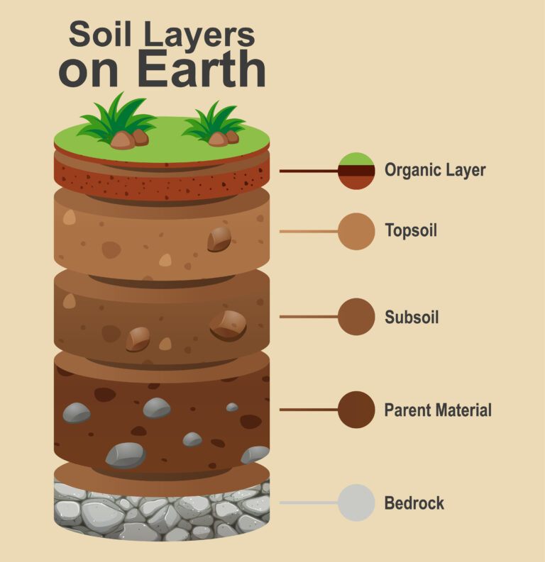 What Is PVC In Soil?