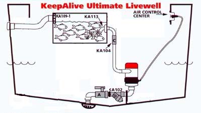 Livewell Plumbing How A Livewell Works Diagram